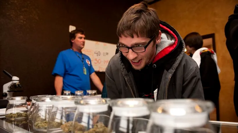 Vânzări de peste 1 milion de dolari în prima zi de marijuana în scopuri recreative LEGALĂ în Colorado