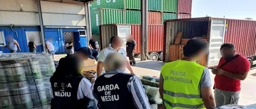 Containere cu peste 60 de tone de deșeuri de plastic amestecat cu carton, descoperite în Portul Constanţa Sud Agigea. Ce scria în documentele de transport