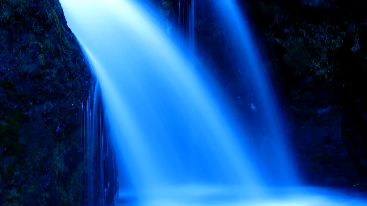 Experiment fascinant: Apa ar putea avea memorie?