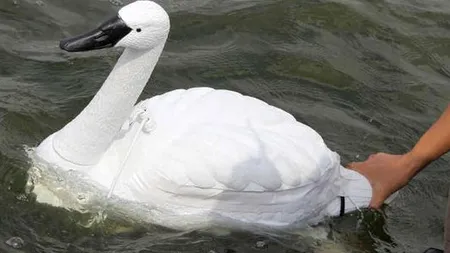 Modul inedit în care este monitorizată calitate apei în Singapore. GALERIE FOTO