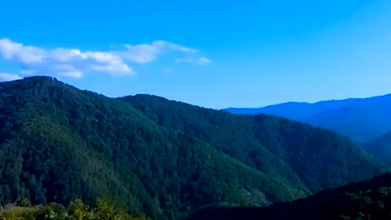 Drumul spectaculos din vestul României care e la mare căutare de turiști: colțul de rai e supranumit „perla județului Timiș”