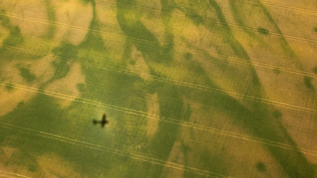 Prețurile terenurilor agricole din Bulgaria s-au triplat în ultimii 10 ani. Cât costă 1.000 de metri pătrați