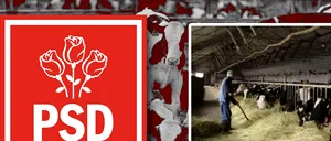 PSD alocă SUBVENȚII pentru agricultură de 2 miliarde lei / Marcel CIOLACU: Continuăm să-i sprijinim și pe agricultori