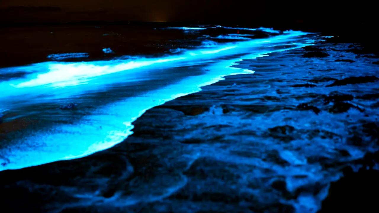 FENOMEN de bioluminiscență în Marea Neagră, observat de turiști și localnici. Valurile au „strălucit”