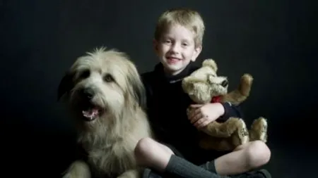 Zgărzi antipurici, interzise în Franța din cauza unei substanțe toxice. În România se comercializează încă