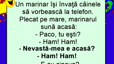 BANCUL ZILEI | Marinarul și câinele vorbitor