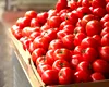 Unde au fost descoperite roșii cu Salmonella. Este o locație populară printre români