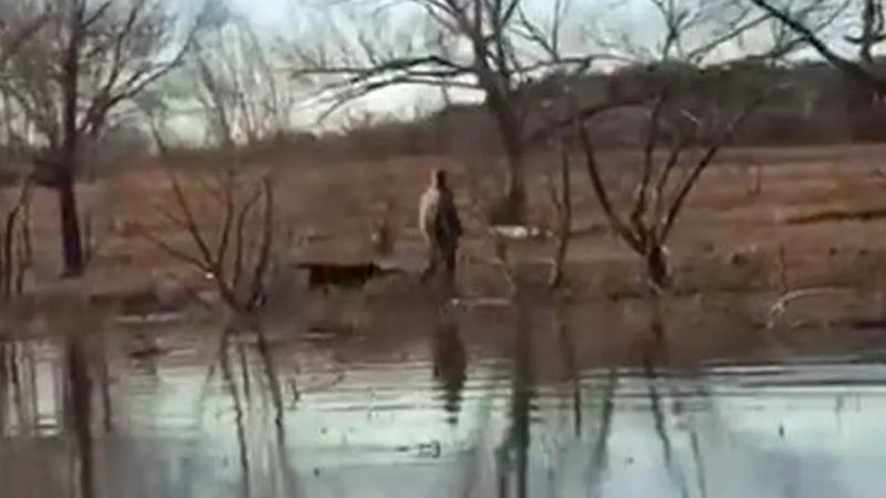 Un celebru cântăreț american, găsit mort
