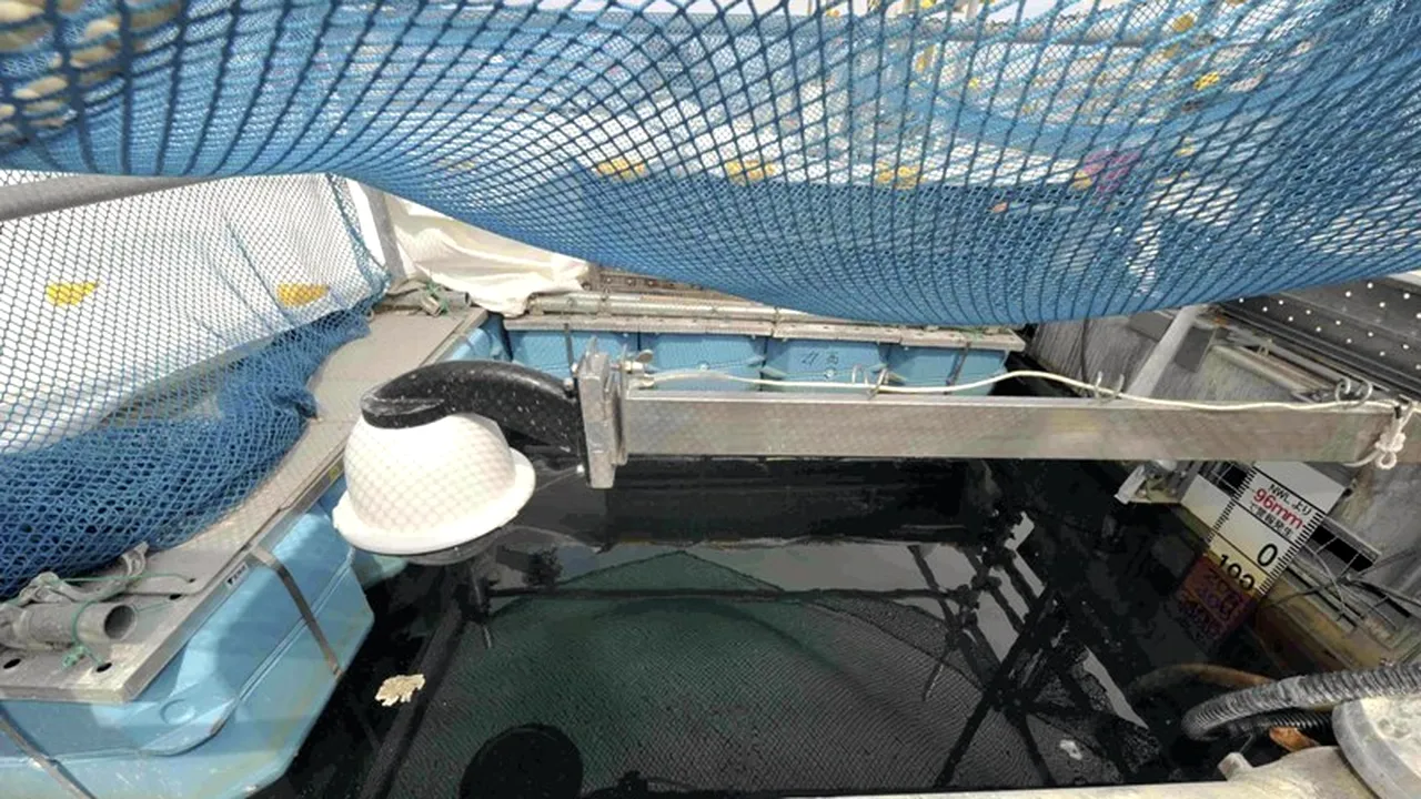 Israelul echipează submarinele furnizate de Germania cu focoase nucleare
