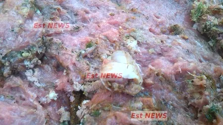 Descoperire macabră în Bârlad: o bucată de deget, găsită într-o pungă de carne tocată dată de Primăria Bârlad unui asistat social