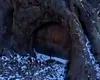 Exploratorii au găsit ușă gigantică în Munții Dzungarian Alatau din Kazahstan. Ce este în spatele ei, de fapt