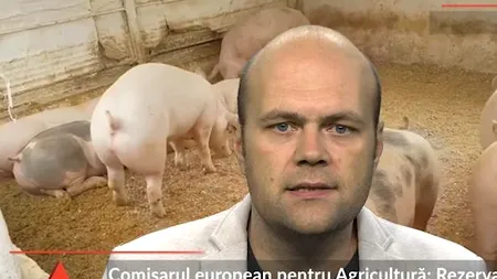 Rezerva de criză a UE nu poate fi activată pentru PESTA PORCINĂ din România