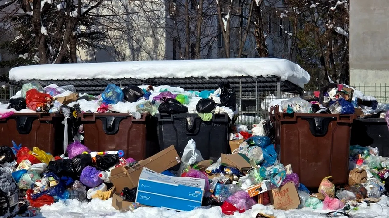 Cine bagă 