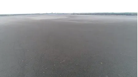 Catastrofă ecologică | Lacul Iezer Călăraşi a secat. Cum s-a ajuns aici (VIDEO)