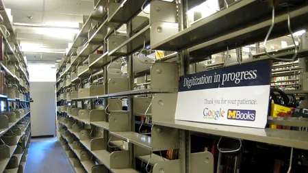 Decizie juridică istorică. Ce va putea face Google de acum