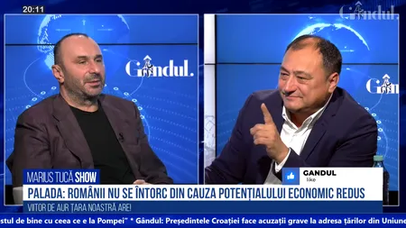 VIDEO | Mirel Palada, sociolog: Românii din străinătate nu se întorc din cauza potențialului economic redus / Nu poți reveni cu ”coada-ntre picioare”