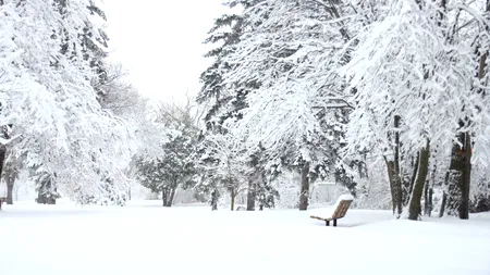 Vremea se schimbă radical! Cod portocaliu și cod galben de ninsori abundente, depunere de strat consistent de zăpadă și ploi