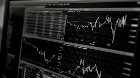 Cu cât a scăzut economia României în doar trei luni de zile. Pentru câte companii se va diminua cifra de afaceri în 2020 și pentru câte aceasta va crește