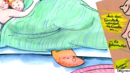 Israelul interzice manualele școlare privind educația sexuală