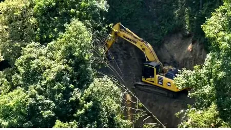 OPERAȚIUNILE de defrișare pe Valea Oltului, ziua a șasea. Lucrările continuă și în week-end / Circulația, închisă până pe 9 august