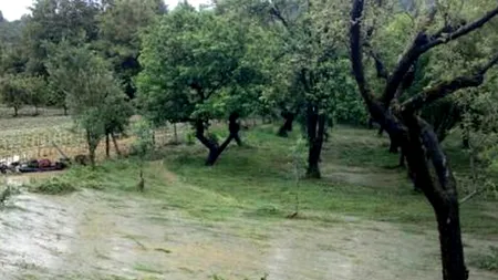 VREMEA. Cod galben și portocaliu de inundații în 8 județe, valabile până sâmbătă