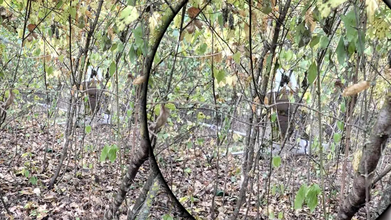 O dronă s-a izbit de un copac într-o pădure din Republica Moldova. Zborul nu a fost înregistrat de sistemele de supraveghere