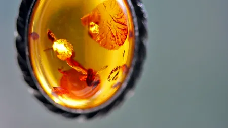 Descoperire neobișnuită făcută la Galați: Patru kilograme de chihlimbar, găsite într-o mașină de către polițiștii de frontieră