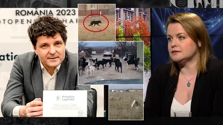 EXCLUSIV VIDEO | Acuzații „din interior” la adresa lui Nicușor Dan, după moartea femeii sfâșiate de câini: „Nu a făcut nimic, administrativ”