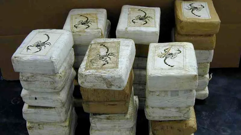 Captura poliției italiene: 235 de kilograme de cocaină pură, ascunse între banane