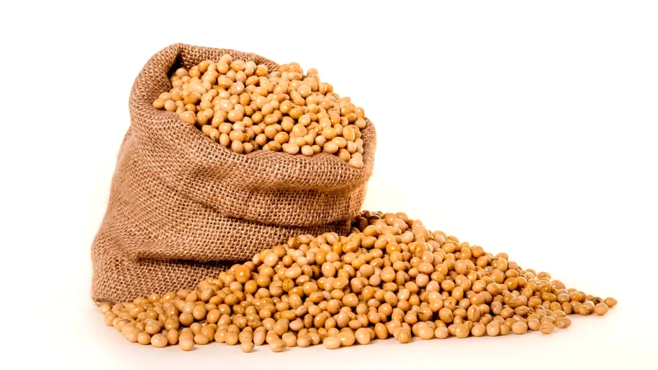 TRANZACȚII. Câte milioane de tone de soia au importat chinezii în primele două luni ale anului în curs. De ce este vinovat Coronavirusul de scăderea ritmului de prelucrare