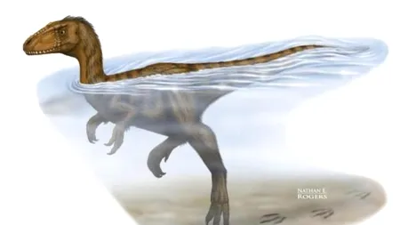 Urmele găsite pe albia unui râu din China vor schimba ceea ce știam despre dinozauri