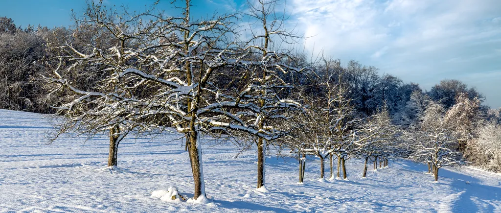 Fenomenul meteo care ar putea aduce o iarnă extrem de geroasă. Ce spun specialiștii