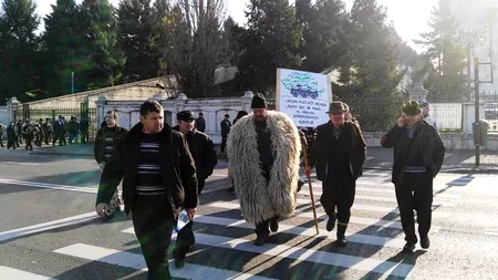 Peste 2.000 de ciobani s-au înfuriat la Parlament, pentru o lege veche de 10 ani. Reacția Guvernului