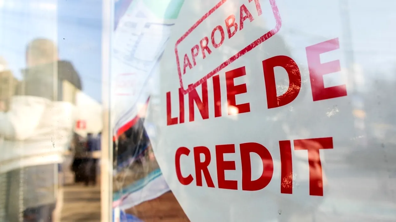 Aproape 70% din firmele din România nu ar lua credit în lei sau euro. SONDAJ BNR