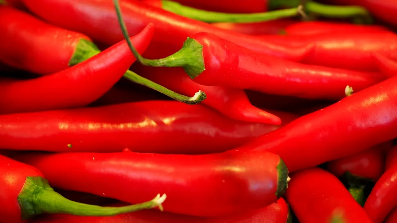 Descoperire NEAȘTEPTATĂ făcută de polițiștii din Constanța într-un camion cu ardei capia