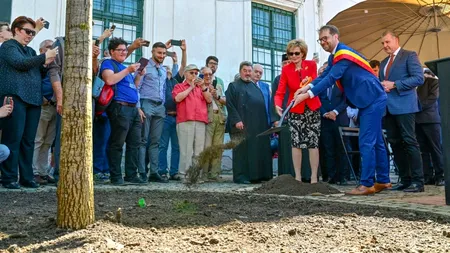 A început să se usuce stejarul de peste 3000 de euro plantat de Majestatea Sa Margareta, Custodele Coroanei Române