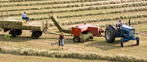 OPINIE. Sprijinul european nu este în măsură să salveze sectorul agroalimentar din România (Clubul Fermierilor Români)