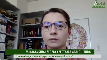 GÂNDUL GREEN | Valurile de căldură și seceta produc pagube de miliarde (VIDEO)