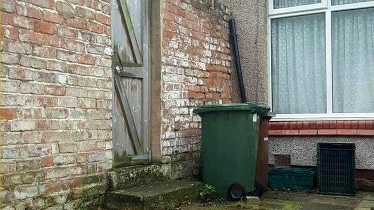 Iluzie optică pentru oameni cu IQ 140+ | Găsiți pisica ascunsă, în 10 secunde!