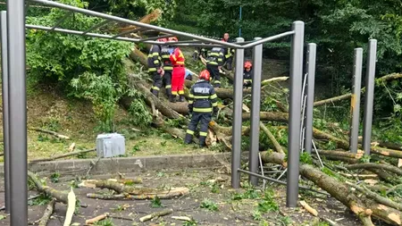 Un tânăr a murit zdrobit de un copac prăbușit în Brașov. O femeie a supraviețuit miraculos