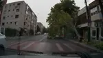 Imagini dramatice din Constanța: Un copac masiv s-a prăbușit pe strada I.G. Duca, la doar câteva secunde după trecerea a două autoturisme
