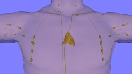 Ce se întâmplă dacă masezi acest loc 30 de secunde