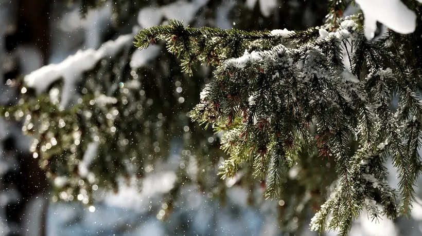VIDEO | A nins la munte și s-a depus strat de ZĂPADĂ