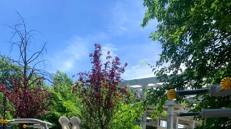 Singurul gimnast român care merge la JO Paris 2024 s-a antrenat la bustul gol, în public, la 36 de grade Celsius!