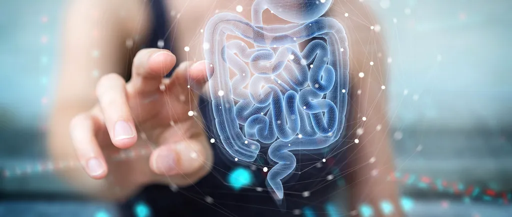 Studiu: Bacteriile intestinale ar putea influența severitatea bolii COVID-19