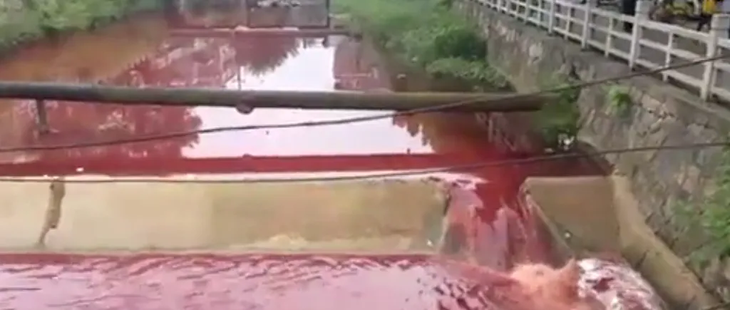Râu de sânge într-un oraș din China. Imagini șocante 