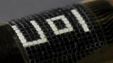 Inspirați de caracatițe, cercetătorii au inventat 