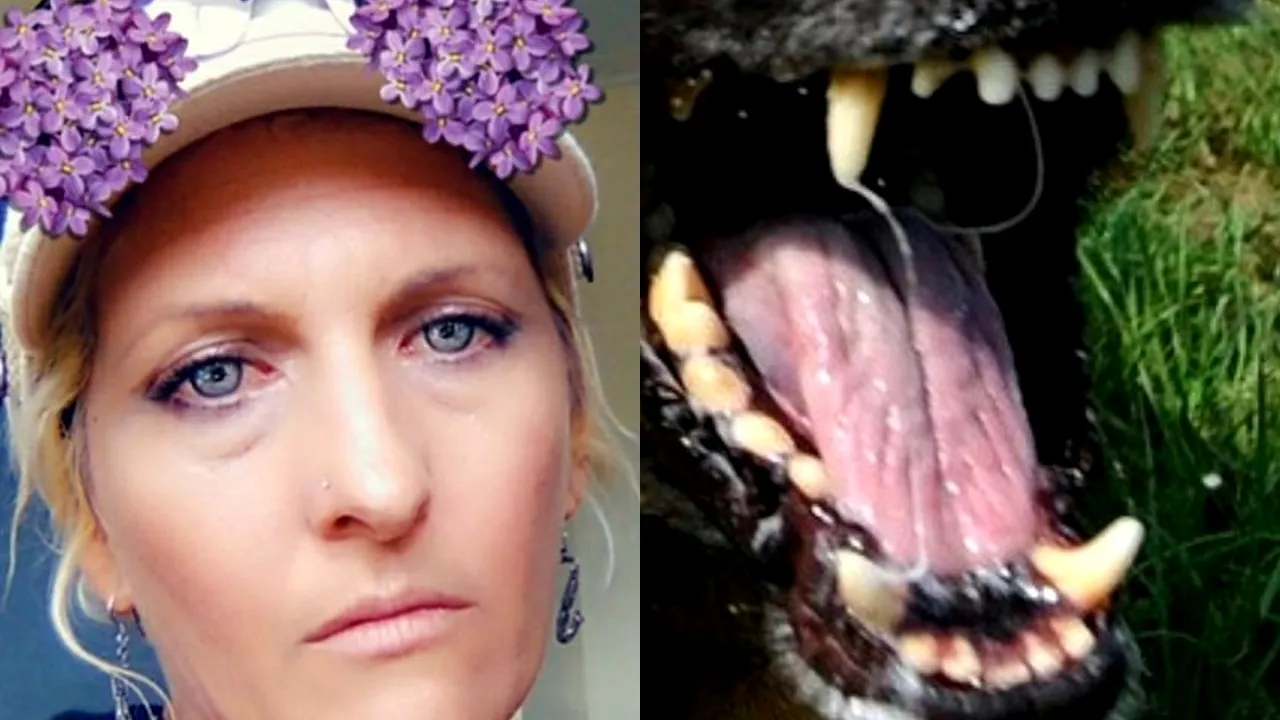 O femeie din Australia a fost sfâșiată de trei câini de luptă, în timp ce se afla într-o vizită