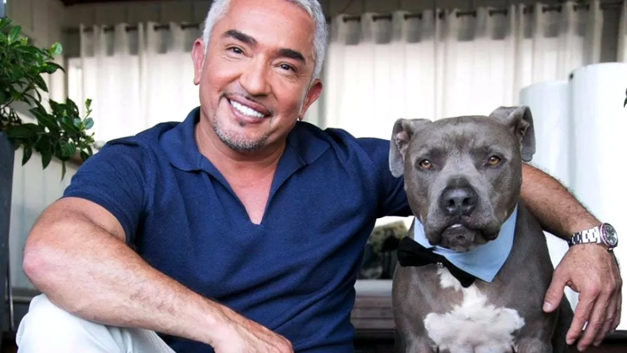 Cesar Millan vine pentru prima oară în România. Care sunt pretențiile celui mai cunoscut antrenor canin