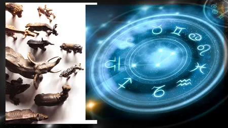 Fiecare nativ poate fi asociat cu un ANIMAL, în funcție de zodia sa. Acest lucru reflectă anumite trăsături ale personalității